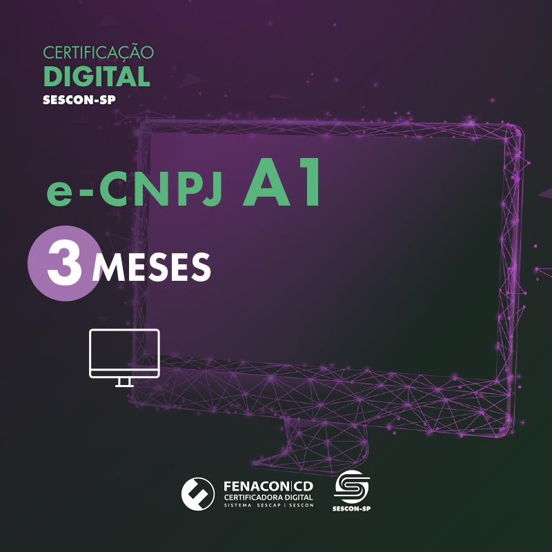 e-CNPJ A1 | 3 Meses