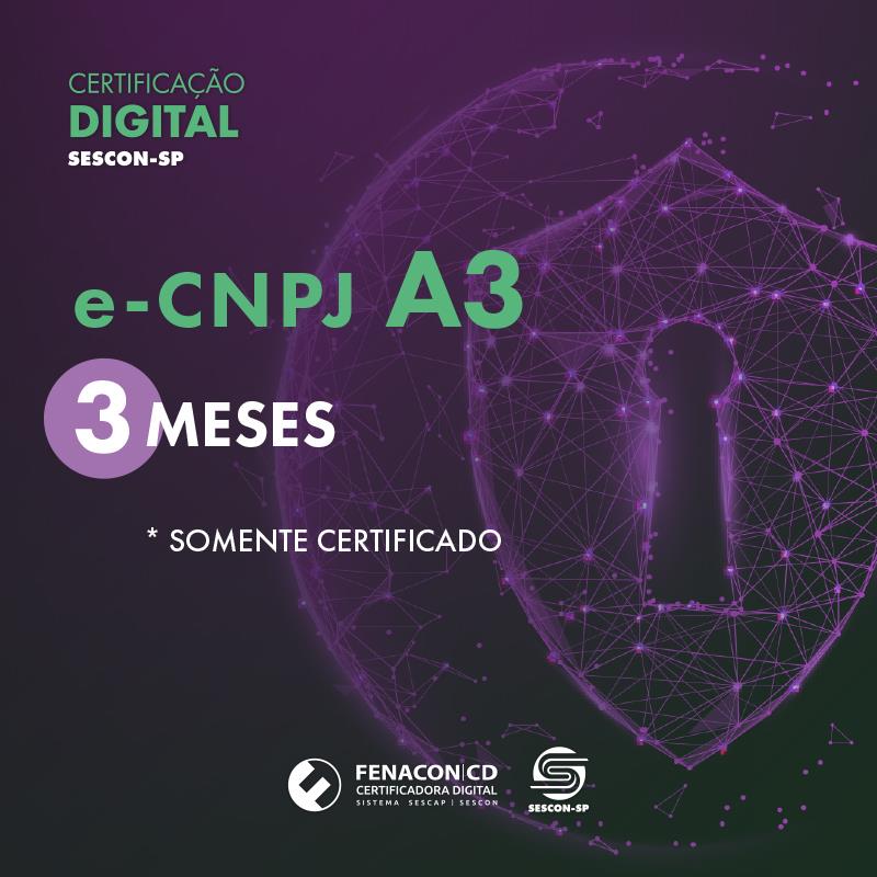 e-CNPJ A3 | 3 Meses sem Mídia