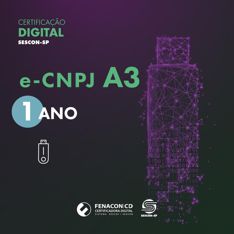 e-CNPJ A3 | 1 Ano em Token